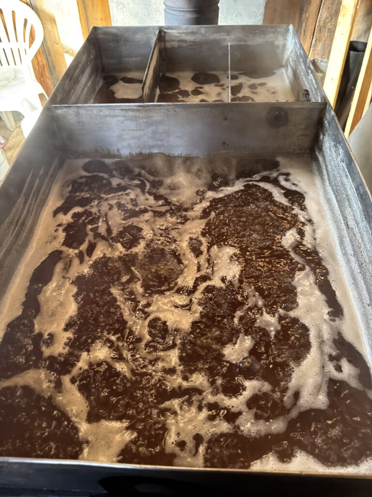 The maple evaporator